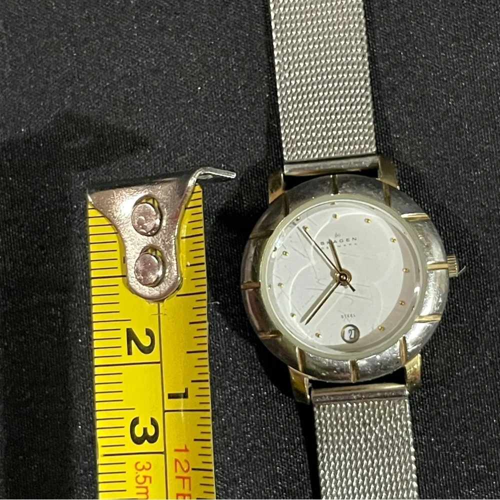 Skagen Silver and Gold Watch